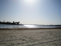Strand von Alcudia