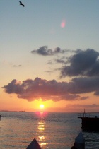 Sunset (14)
