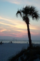 Sunset (17)