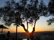 Sunset (7)