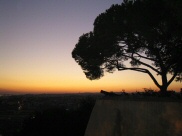 Sunset (8)
