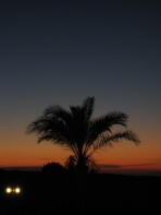 Sunset over Horizon Beach Resort (1)