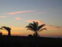 Sunset over Horizon Beach Resort (3)