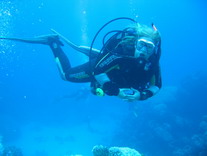 Susi-Dive1