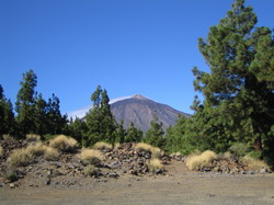 Teide102