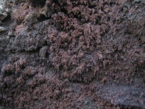 Timanfaya 9
