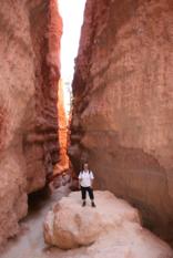 Wallstreet Bryce Canyon