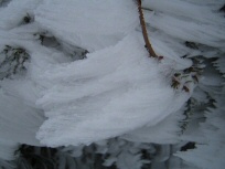 Wasserkuppe (3)