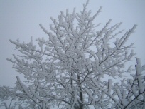 Wasserkuppe (8)