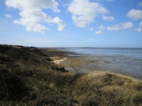 Watt Sylt
