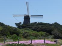 Windmuehle am Highway 1