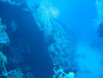 Wrack10