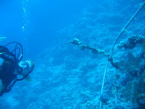 Wrack8