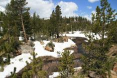 Yosemite Nationalpark (1)