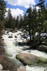 Yosemite Nationalpark (2)