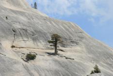 Yosemite Nationalpark (4)