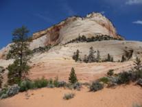 Zion Nationalpark (2)