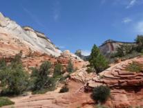 Zion Nationalpark (3)
