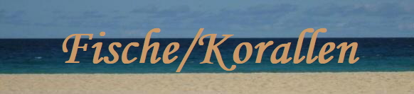 Fische/Korallen