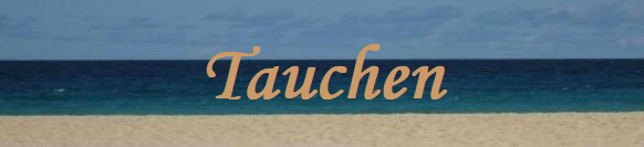 Tauchen