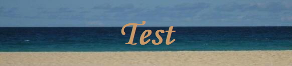 Test